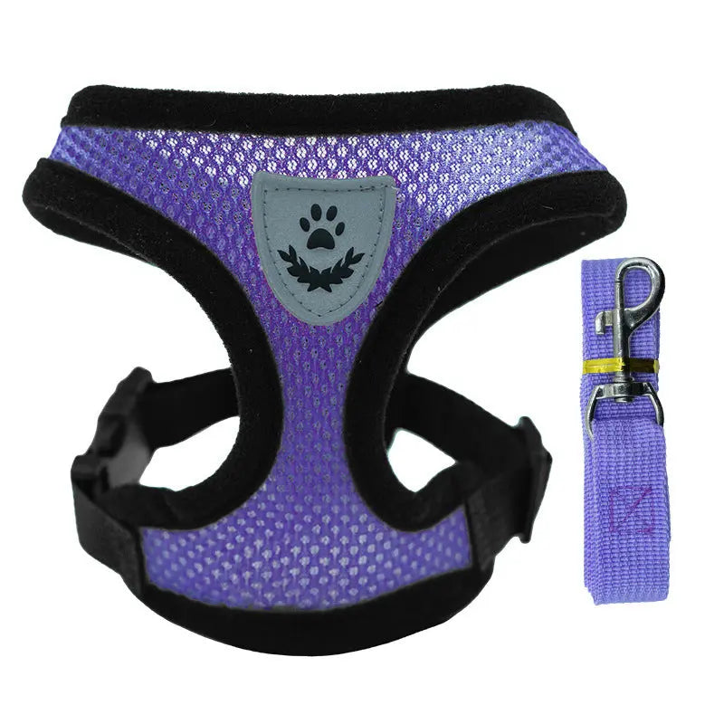 Adjustable pet harness set (small dogs/cats): vest, collar, leash. Fits French Bulldogs, Chihuahuas, etc. CJ  11.08 SMARTGLO COLLECTIONS Purple / XL