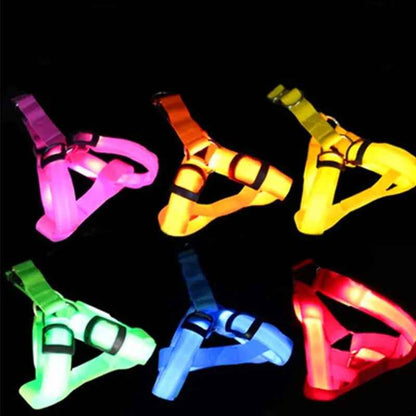 Nylon LED Dog Harness with Flashing Light and Leash Rope Belt