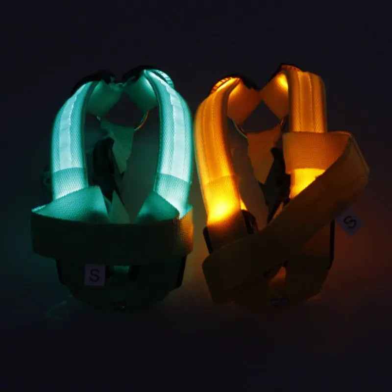 Nylon LED Dog Harness with Flashing Light and Leash Rope Belt