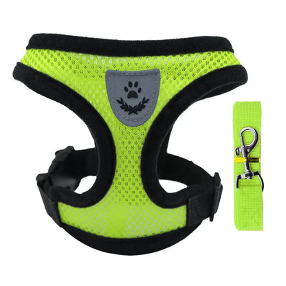 Adjustable pet harness set (small dogs/cats): vest, collar, leash. Fits French Bulldogs, Chihuahuas, etc. CJ  11.08 SMARTGLO COLLECTIONS Green / XL