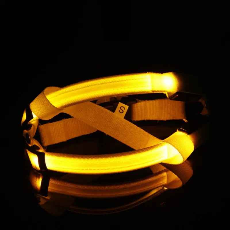 Nylon LED Dog Harness with Flashing Light and Leash Rope Belt