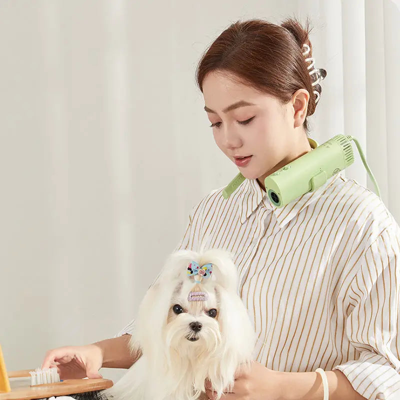 Pet hair dryer for pet care: high power, quiet, energy-saving, dog grooming, fast drying. Only suitable for 220V countries. eprolo   SMARTGLO COLLECTIONS