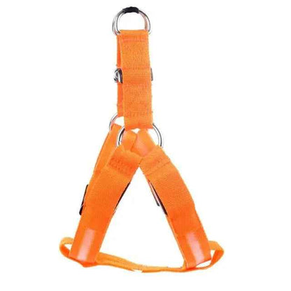 Nylon LED Dog Harness with Flashing Light and Leash Rope Belt