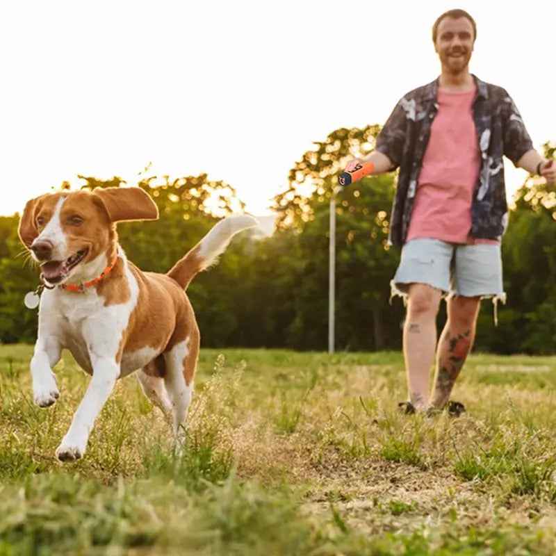 2025 Ultrasonic Dog Repellent: Rechargeable Dog Bark Deterrent with LED Flashlight