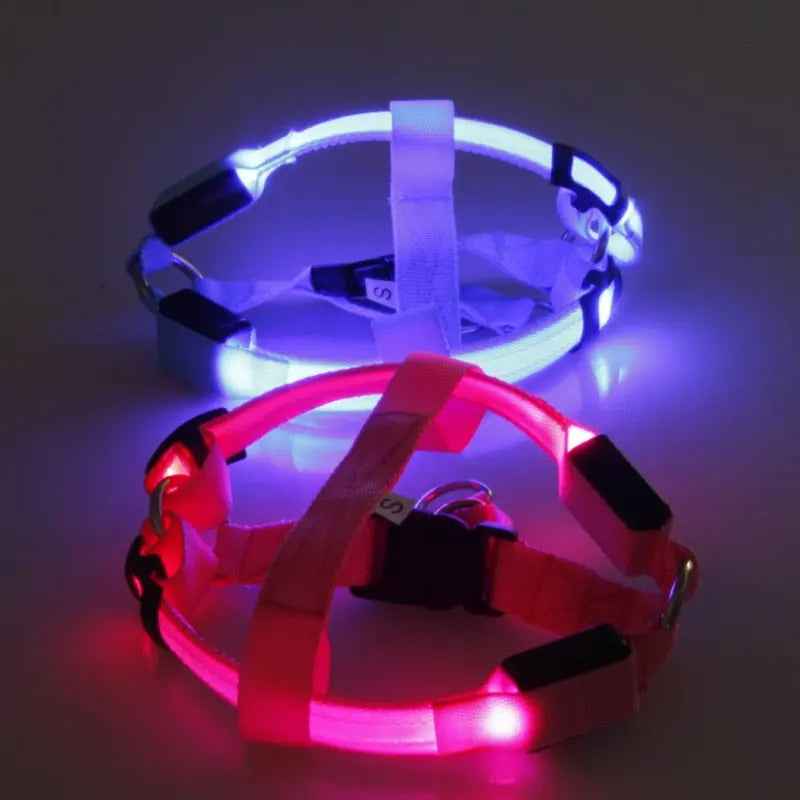 Nylon LED Dog Harness with Flashing Light and Leash Rope Belt
