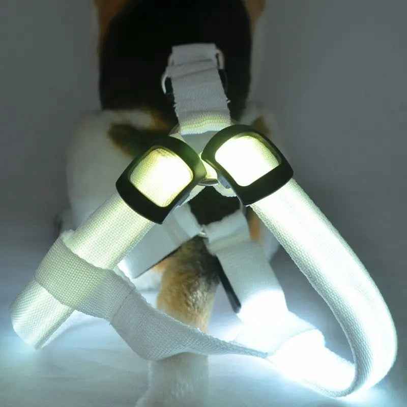 Nylon LED Dog Harness with Flashing Light and Leash Rope Belt