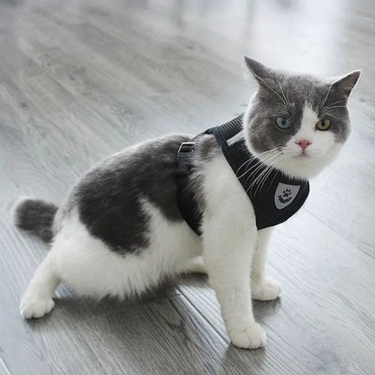 Adjustable pet harness set (small dogs/cats): vest, collar, leash. Fits French Bulldogs, Chihuahuas, etc. CJ   SMARTGLO COLLECTIONS