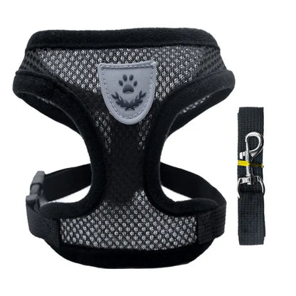 Adjustable pet harness set (small dogs/cats): vest, collar, leash. Fits French Bulldogs, Chihuahuas, etc. CJ  11.08 SMARTGLO COLLECTIONS Black / XL
