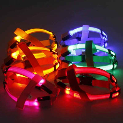 Nylon LED Dog Harness with Flashing Light and Leash Rope Belt