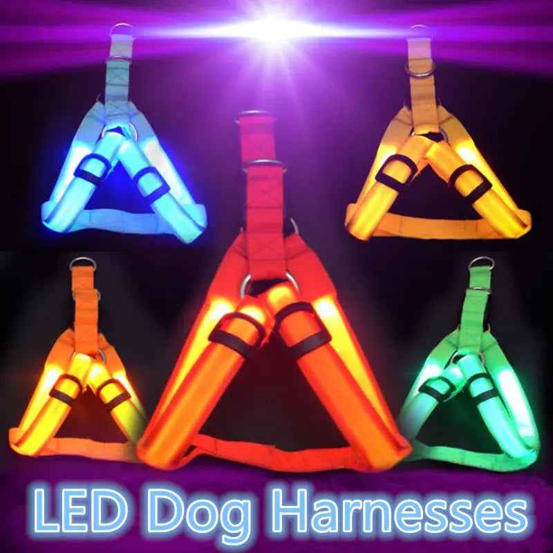 Nylon LED Dog Harness with Flashing Light and Leash Rope Belt