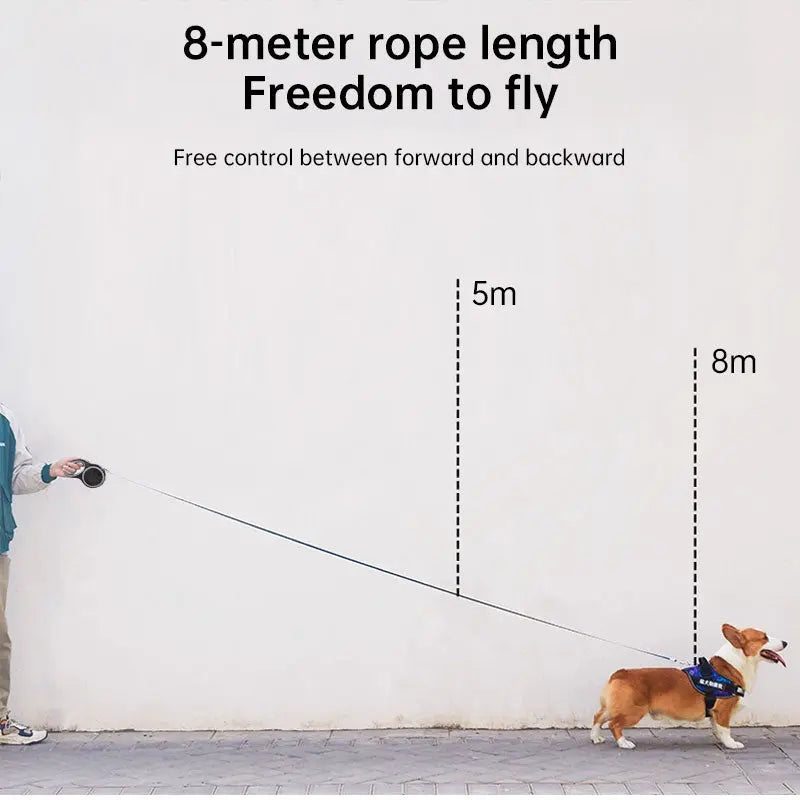 Retractable Dog Leash (5m/8m, 50kg capacity) – Adjustable, durable, for small/big dogs (walking, hiking) eprolo   SMARTGLO COLLECTIONS