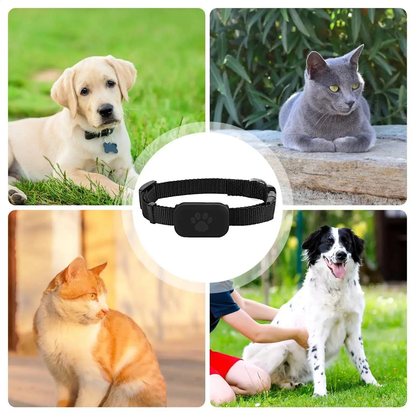 Smart GPS Pet Tracker Collar – Anti-Lost for Cats & Dogs SMARTGLO COLLECTIONS Pet supplies  SMARTGLO COLLECTIONS