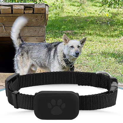 Smart GPS Pet Tracker Collar – Anti-Lost for Cats & Dogs SMARTGLO COLLECTIONS Pet supplies  SMARTGLO COLLECTIONS