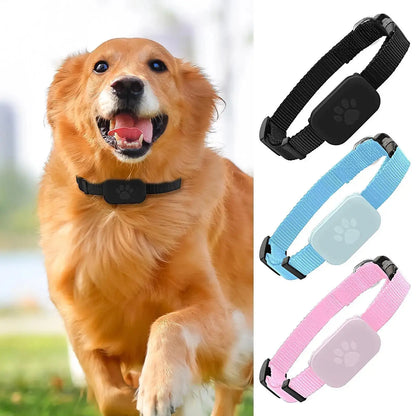 Smart GPS Pet Tracker Collar – Anti-Lost for Cats & Dogs SMARTGLO COLLECTIONS Pet supplies  SMARTGLO COLLECTIONS